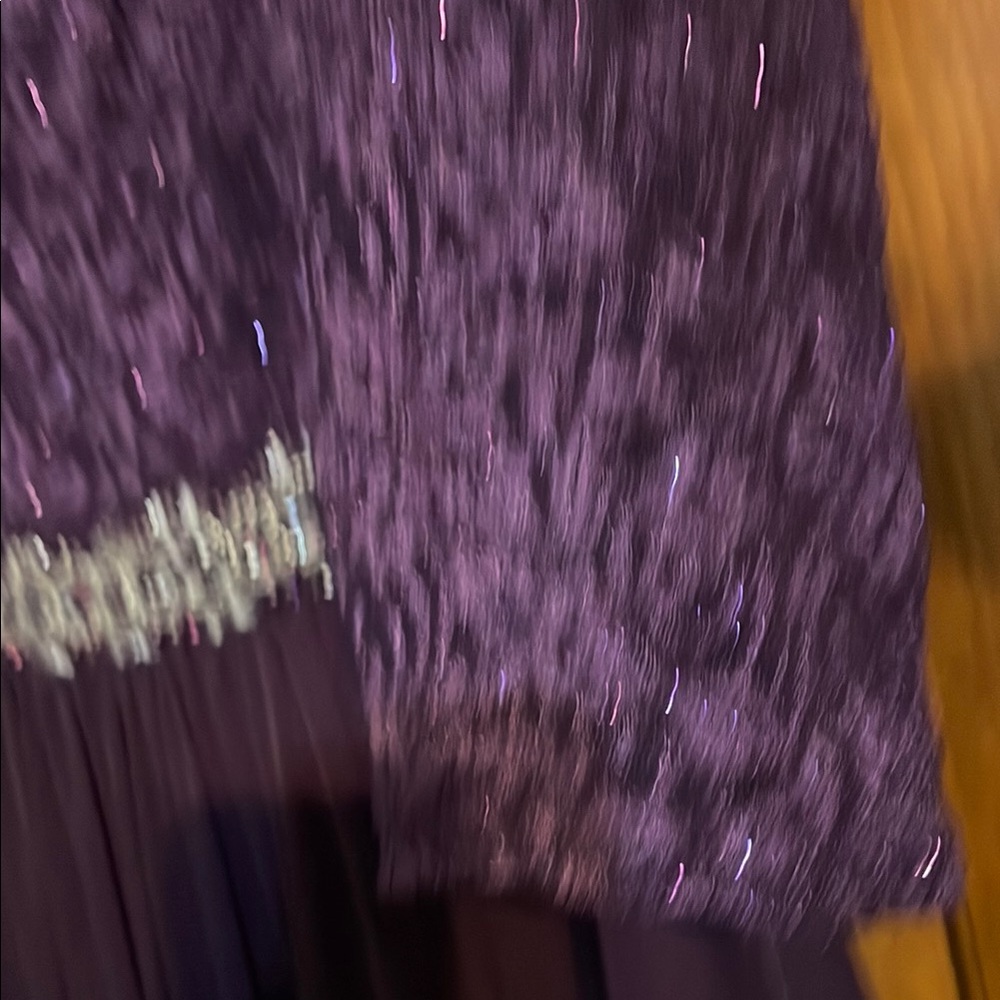 Mother of the Bride Dress:  Alex Evenings Elegant Purple Evening Gown - Picture 4 of 5